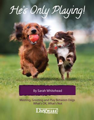 He's Only Playing: Meeting, Greeting and Play Between Dogs. What's Ok, What's Not. - Sarah Whitehead