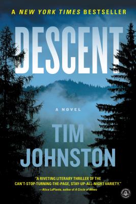 Descent - Tim Johnston