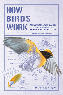 How Birds Work: An Illustrated Guide to the Wonders of Form and Function--From Bones to Beak - Marianne Taylor