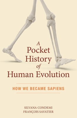A Pocket History of Human Evolution: How We Became Sapiens - Silvana Condemi