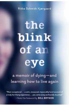 The Blink of an Eye: A Memoir of Dying--And Learning How to Live Again - Rikke Schmidt Kjrgaard