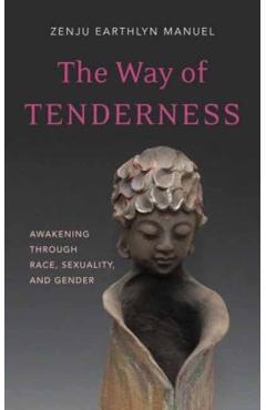 The Way of Tenderness: Awakening Through Race, Sexuality, and Gender - Zenju Earthlyn Manuel