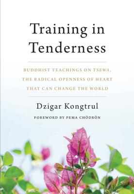 Training in Tenderness: Buddhist Teachings on Tsewa, the Radical Openness of Heart That Can Change the World - Dzigar Kongtrul