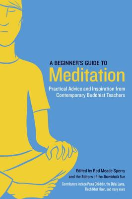 A Beginner's Guide to Meditation: Practical Advice and Inspiration from Contemporary Buddhist Teachers - Rod Meade Sperry