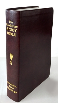CEV Challenge Study Bible-Flexi Cover - Don Wilkerson