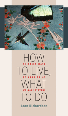 How to Live, What to Do: Thirteen Ways of Looking at Wallace Stevens - Joan Richardson
