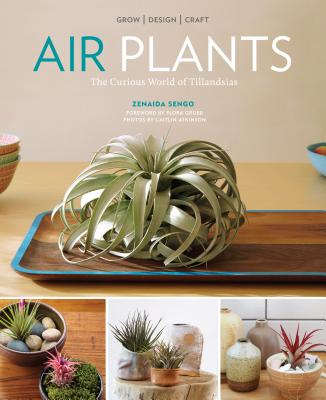 Air Plants: The Curious World of Tillandsias - Zenaida Sengo