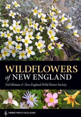 Wildflowers of New England - Ted Elliman