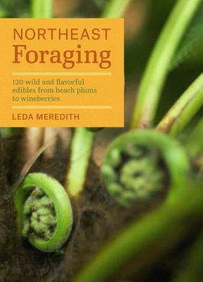 Northeast Foraging: 120 Wild and Flavorful Edibles from Beach Plums to Wineberries - Leda Meredith