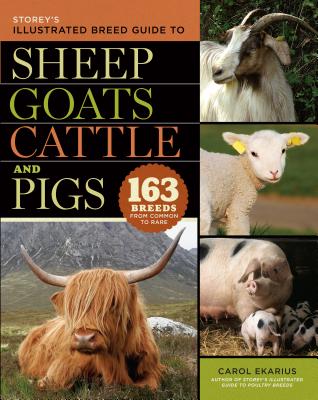 Storey's Illustrated Breed Guide to Sheep, Goats, Cattle and Pigs: 163 Breeds from Common to Rare - Carol Ekarius