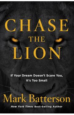 Chase the Lion: If Your Dream Doesn't Scare You, It's Too Small - Mark Batterson