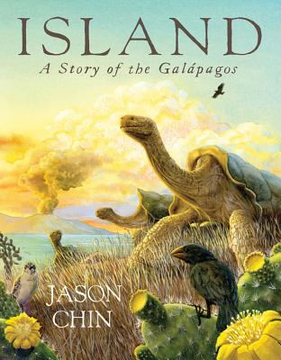 Island: A Story of the Gal�pagos - Jason Chin