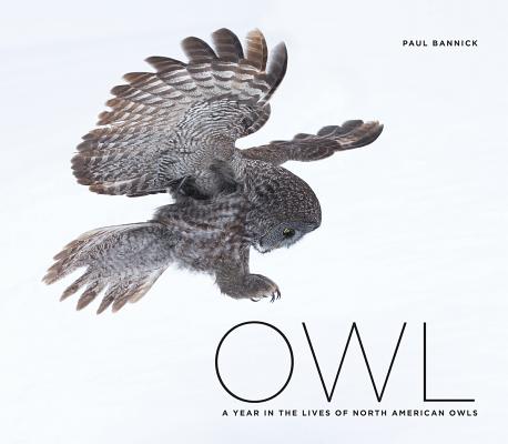 Owl: A Year in the Lives of North American Owls - Paul Bannick