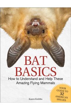 Bat Basics: How to Understand and Help These Amazing Flying Mammals - Karen Krebbs