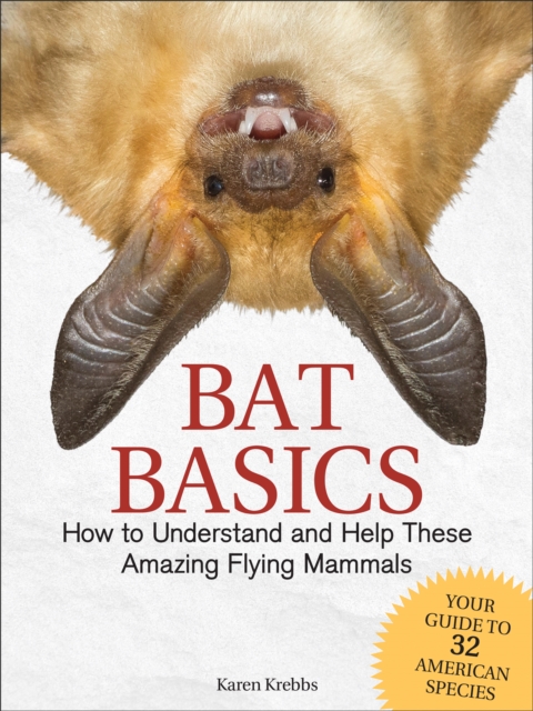 Bat Basics: How to Understand and Help These Amazing Flying Mammals - Karen Krebbs