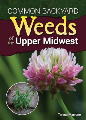 Common Backyard Weeds of the Upper Midwest - Teresa Marrone