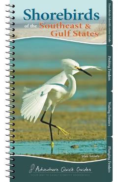 Shorebirds of the Southeast & Gulf States: Your Way to Easily Identify Shorebirds - Stan Tekiela