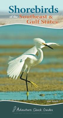 Shorebirds of the Southeast & Gulf States: Your Way to Easily Identify Shorebirds - Stan Tekiela