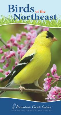 Birds of the Northeast: Your Way to Easily Identify Backyard Birds - Stan Tekiela