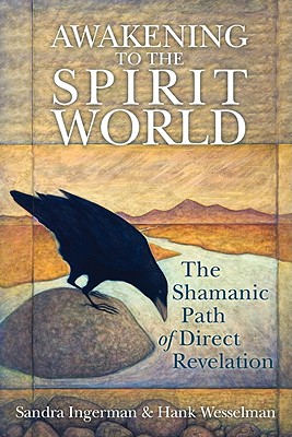 Awakening to the Spirit World: The Shamanic Path of Direct Revelation [With CDROM] - Sandra Ingerman