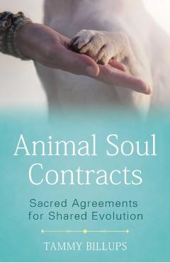Animal Soul Contracts: Sacred Agreements for Shared Evolution - Tammy Billups