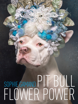 Pit Bull Flower Power - Gamand Sophie