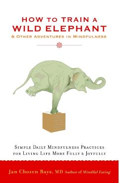 How to Train a Wild Elephant: And Other Adventures in Mindfulness - Jan Chozen Bays
