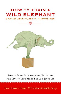 How to Train a Wild Elephant: And Other Adventures in Mindfulness - Jan Chozen Bays