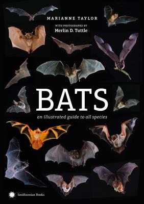 Bats: An Illustrated Guide to All Species - Marianne Taylor