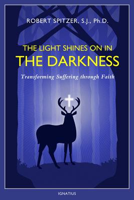 The Light Shines on in the Darkness, Volume 4: Transforming Suffering Through Faith - Fr Robert J. Spitzer