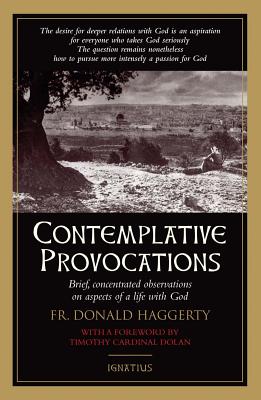 Contemplative Provocations - Fr Donald Haggerty