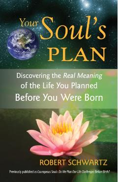 Your Soul's Plan: Discovering the Real Meaning of the Life You Planned Before You Were Born - Robert Schwartz