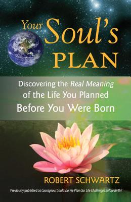 Your Soul's Plan: Discovering the Real Meaning of the Life You Planned Before You Were Born - Robert Schwartz