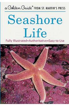 Seashore Life - Lester Ingle