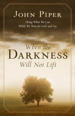 When the Darkness Will Not Lift: Doing What We Can While We Wait for God--And Joy - John Piper