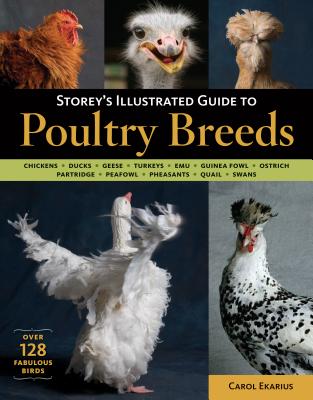 Storey's Illustrated Guide to Poultry Breeds: Chickens, Ducks, Geese, Turkeys, Emus, Guinea Fowl, Ostriches, Partridges, Peafowl, Pheasants, Quails, S - Carol Ekarius