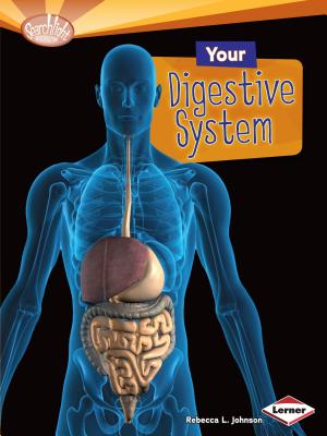 Your Digestive System - Rebecca L. Johnson