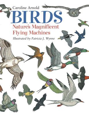 Birds: Nature's Magnificent Flying Machines - Caroline Arnold