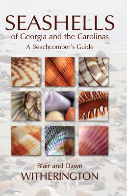 Seashells of Georgia and the Carolinas: A Beachcomber's Guide - Blair Witherington