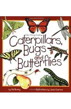 Poza produsului Caterpillars, Bugs and Butterflies: Take-Along Guide - Mel Boring