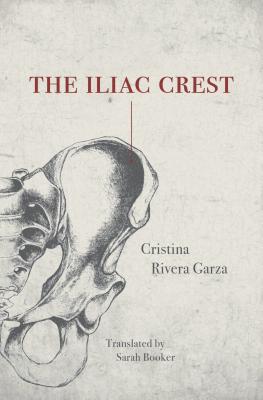 The Iliac Crest - Sarah Booker