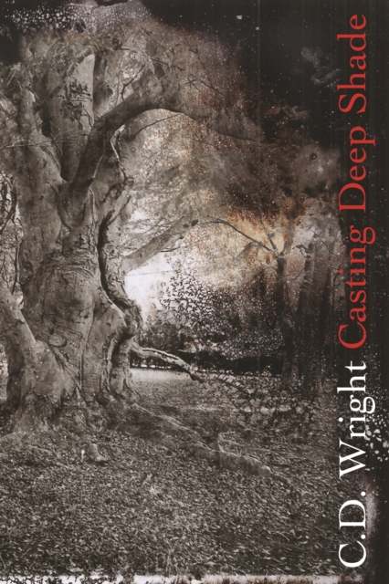 Casting Deep Shade: An Amble - C. D. Wright