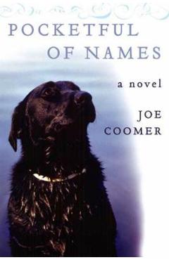 Coperta cărții 'Pocketful of Names - Joe Coomer'