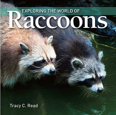 Exploring the World of Raccoons - Tracy Read
