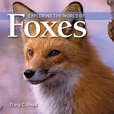 Exploring the World of Foxes - Tracy Read