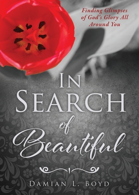 In Search of Beautiful - Damian L. Boyd
