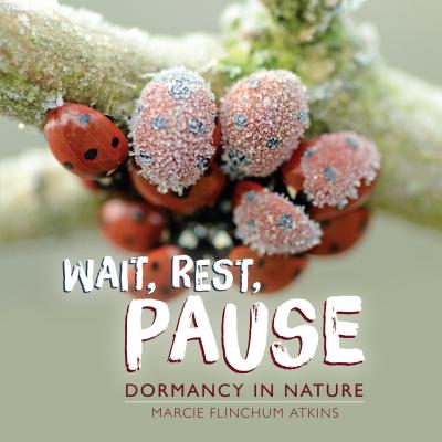 Wait, Rest, Pause - Marcie Flinchum Atkins