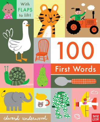 100 First Words - Nosy Crow