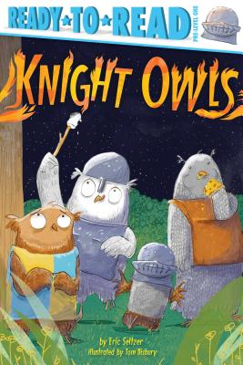 Knight Owls: Ready-To-Read Pre-Level 1 - Eric Seltzer