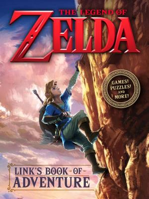 Link's Book of Adventure (Nintendo) - Steve Foxe